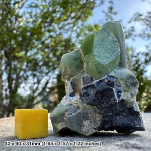 RARO Peridoto Grado A con Cristal Natural Magnetita Negra, Mina Supat, - Imagen 1 de 1