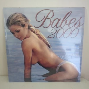 Babes 2000 calendar Brand New Factory Sealed - Picture 1 of 2
