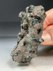 SS Rocks - "Greenstone" Chlorastrolite in Basault (Isle Royal, Michigan) 91g - Picture 1 of 6