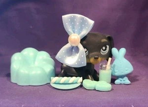 Authentischer Littlest Pet Shop 326 LPS schwarzer Daschund Hund blaue Augen Magnet LPS - Bild 1 von 8