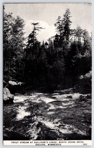 Duluth Trout Stream at Sullivan's Lodge North Shore Drive Tall Pines 1940s B&w - Picture 1 of 2