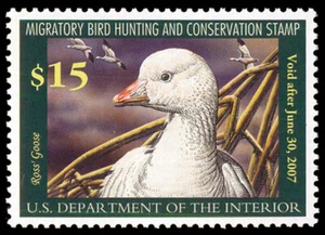 RW73 — 2006 Federal duck stamp - Picture 1 of 1