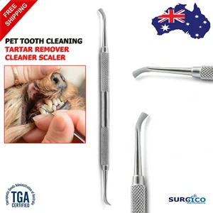 PET GROOMING TOOL TOOTH PLAQUE REMOVER CALCULUS CLEANING TARTAR REMOVER  - Bild 1 von 3