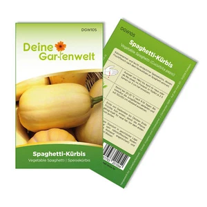 Spaghetti-Kürbis Vegetable Spaghetti Samen - Cucurbita pepo - Kürbissamen - Bild 1 von 5