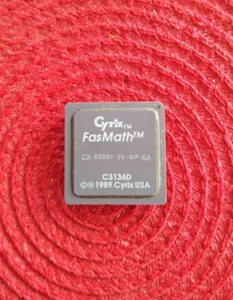 Coprocesador matemático CYRIX CX-83D87-25-GP Fasmath para CPU 386DX 25 MHz ✅ Muy raro - Imagen 1 de 2