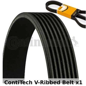ContiTech V-Ribbed Belt - 7PK1290 , 7 Ribs - Fan Belt Alternator, Drive Belt - Picture 1 of 1