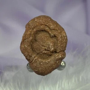 Estromatolito natural, desierto del Sahara 20 g SN26302 - Imagen 1 de 4