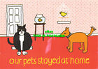 L206165 Our Pet Stayed at Home. Aiken Graphics