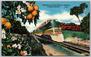 Postcard c1940s Streamline Train Passing Through Florida Groves Temperature - Bild 1 von 2
