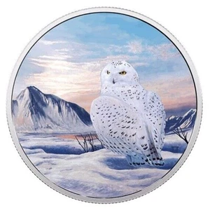 Moneda de plata pura búho nevado búho nevado de Canadá 2018 $30 animales árticos y auroras boreales - Imagen 1 de 3