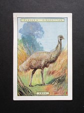 PLAYER EXTRA LARGE  1924  SERIES 2  CIGARETTE CARD  NATURAL HISTORY No  6  EMEU