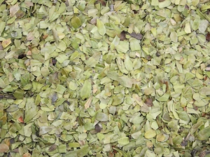 1000Kräuter Bärentraubenblätter geschnitten Tee (Arctostaphylus uva-ursi) 200 g - Bild 1 von 1