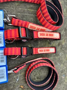 Dog Collar Orange Stripe Matching & Lead Leash two sizes S-M & M-L Clearance - Picture 1 of 5