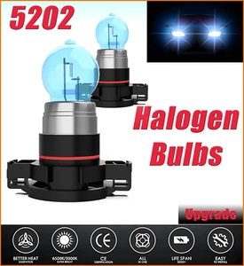 5202 H16 Halogen Headlight Super Bright Bulbs Kit White 6000K 2PCS Fog Light - Picture 1 of 6