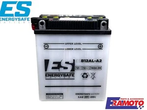 Batería Energysafe Es12N12A-4A1 Activada Para YAMAHA FZR 600 Virago 535 Tenere - Imagen 1 de 2