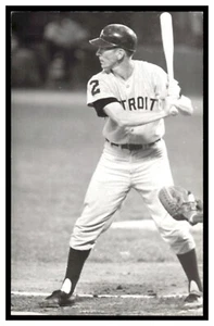 Postal de béisbol vintage de los Tigres de Detroit de Tom Matchick (1968) Rd3 - Imagen 1 de 2