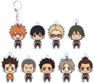 ¡¡Haikyu!! Juego de llaveros acrílicos Ver.A 9 piezas Hinata Kageyama Tsukishima Yamaguchi - Imagen 1 de 1