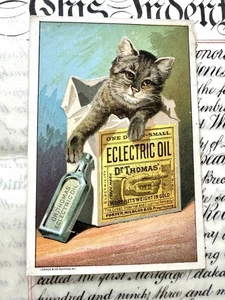 Victorian Trade Card Dr. Thomas Eklectric Öl Katze in Box mit Flasche - Bild 1 von 15