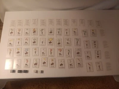 Baraja completa de dados de cartas de repuesto Risk edición 40 aniversario 1999 Foto 1 de 4