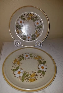 Set 2 Hearthside Garden Festival Stoneware Prairie Flowers 10 1/2" Dinner Plates - Picture 1 of 4