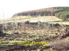 Photo 6X4 Thin-Felled Copse By B993 Torphins Covered Reservoir On Slope O C2009