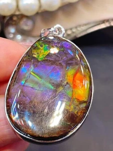 Natural Color Fossil Conch Crystals Quartz 925ag Alloys Inlay Reiki Pendant Gift - Picture 1 of 6