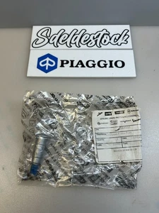 1 pivot pédale frein moto guzzi aprilia 884033 shiver stelvio rsv4 rsv tuono v7 - Picture 1 of 3