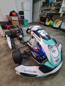 go karts - Picture 1 of 10