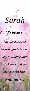 Sarah "Princess" Keepsake Name Meaning Bookmark with Bible Verse and Tassel - Picture 1 of 2