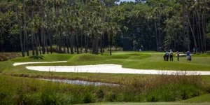 TPC Sawgrass Hole 6 Wide Golf Course Imagekind Wall Art Poster - Picture 1 of 21
