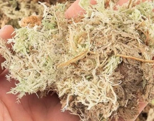 Sphagnum Moss Potting Mix Moisturizing Peat Dry Orchid Gardening Plants 10oz=5.3 - Picture 1 of 2