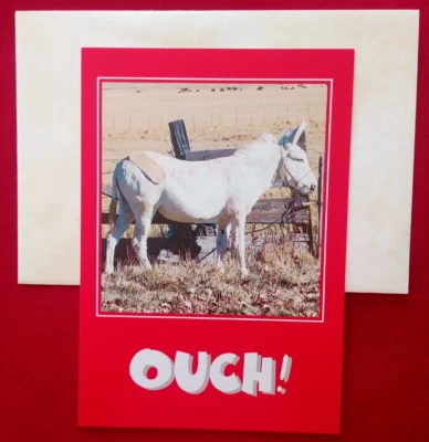 "Pain In The Donkey", (1) Leanin' Tree Get Well Card, New With (1) Envelope - Image 1 of 4