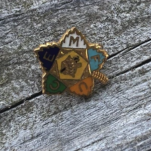 FECMU Anstecknadel Royal Neighbors Of America älter Vintage bunt klein - Bild 1 von 12