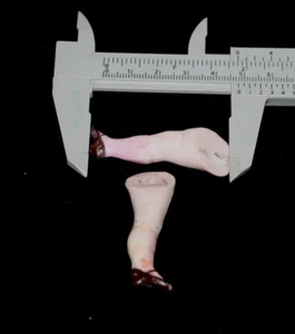 Antique Bisque legs for all bisque mignonette doll 2." - 50 mm - Picture 1 of 3