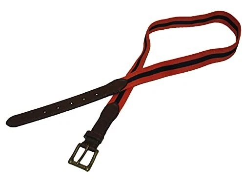 Cinturón elástico Polo Ralph Lauren para hombre con ribete de cuero a rayas (32, naranja/azul marino) Foto 1 de 1