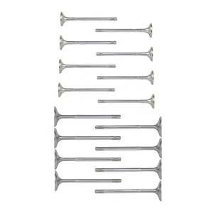 16Pcs Valves Intake and Exhaust Set for Mercedes-Benz W204 2007-0214 W212 S204 C - Afbeelding 1 van 6