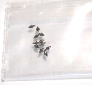 10 RELOJ BOLSILLO HAMILTON 6/0 BALANCE BASTONES MIXTOS #2327-2527 -------- B - 5 - Imagen 1 de 2