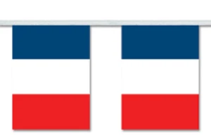 France Bunting 6m 20 Flags *SALE PRICE* - Picture 1 of 3