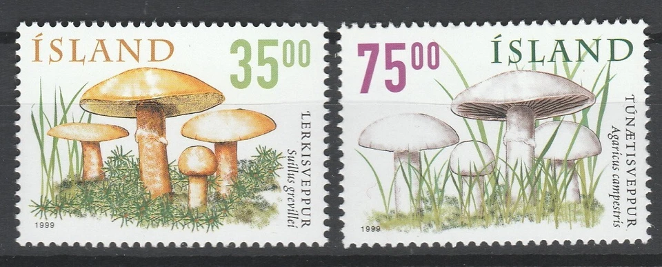 Iceland 1999 Mushrooms 2 MNH stamps - Image 1 of 1