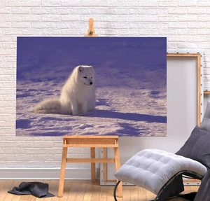 ARCTIC FOX 1- DEEP FRAMED CANVAS WALL ART PICTURE PRINT- PURPLE WHITE - Picture 1 of 8
