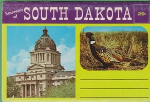 Vintage Postcard Fold-Out Folder Folio Souvenir South Dakota Corn Palace - Picture 1 of 4