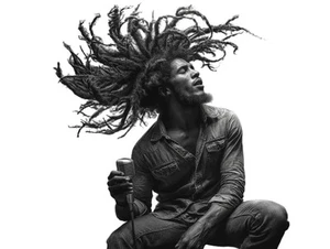 Bob Marley Performing Vinyl Car Decal Sticker – Waterproof & UV-Resistant - Picture 1 of 1