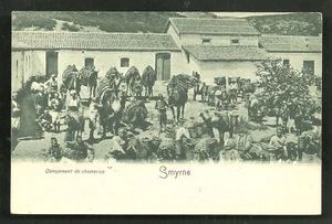 Smyrne Izmir Kamellager Osmanische Türkei ca 1899 - Bild 1 von 1