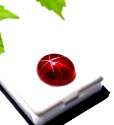 Natural Star Ruby Loose Gemstone Certified star ruby 10-12 CT Oval Cut - Image 1 of 4