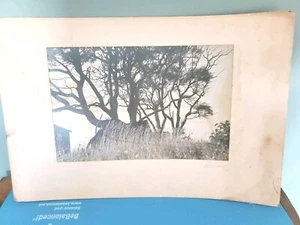 FOTOGRAF JOSE ALEMANY; original signiertes Foto, ohne Titel 7,5 x11,5" - Bild 1 von 4