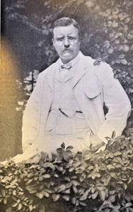 1906 Vintage Zeitschrift Illustration Theodore Roosevelt am Sagamore Hill - Bild 1 von 2