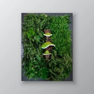 Handmade Preserved Moss with Green Polypore Mushrooms Wall Art in Black Frame - Picture 1 of 15