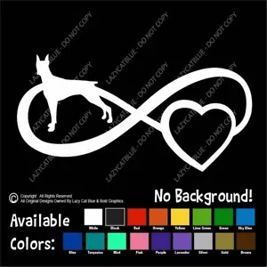 Adesivo decalcomania Doberman Infinity Dobe Dobby Dobie amore vita cuore guardia cane animali domestici - Foto 1 di 24