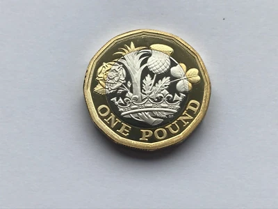 Simply Coins~ 2017 PROOF ONE 1 POUND COIN - Image 1 of 4