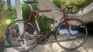 Gios Ramengröße 60 - Bild 1 von 16